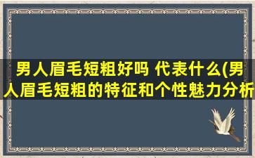 男人眉毛短粗好吗 代表什么(男人眉毛短粗的特征和个性魅力分析，了解男性审美趣味)